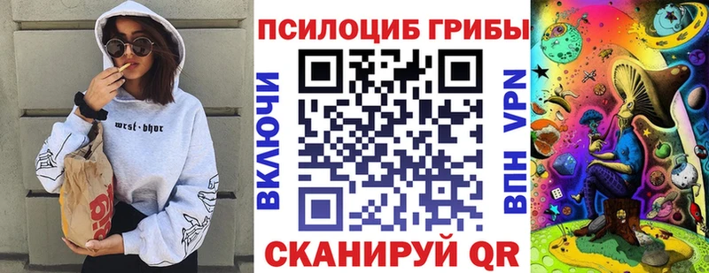 Псилоцибиновые грибы Psilocybine cubensis  купить наркоту  Мичуринск 