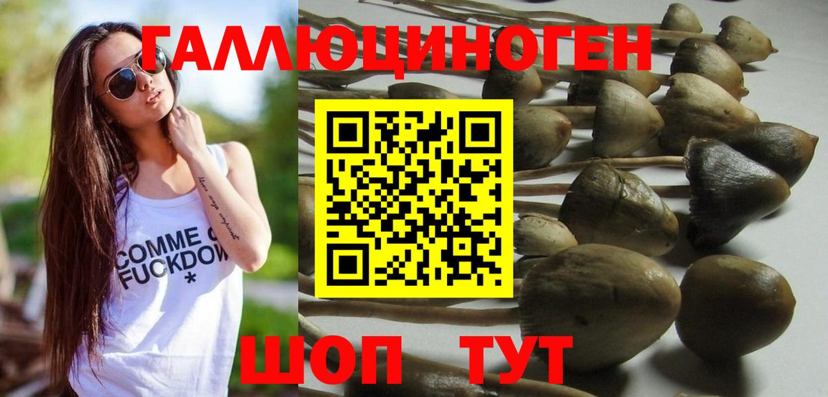 Псилоцибиновые грибы прущие грибы Мичуринск
