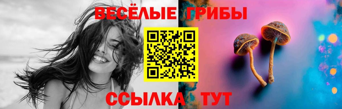 Псилоцибиновые грибы ЛСД  Вход с VPN  Мичуринск 
