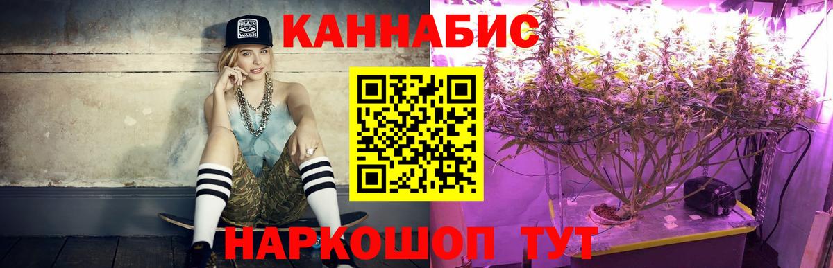 Каннабис план  Каннабис план  Мичуринск  Вход с VPN 